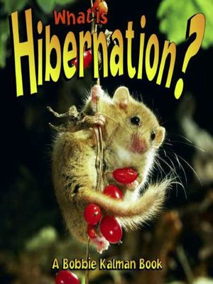 cover image of What is Hibernation?